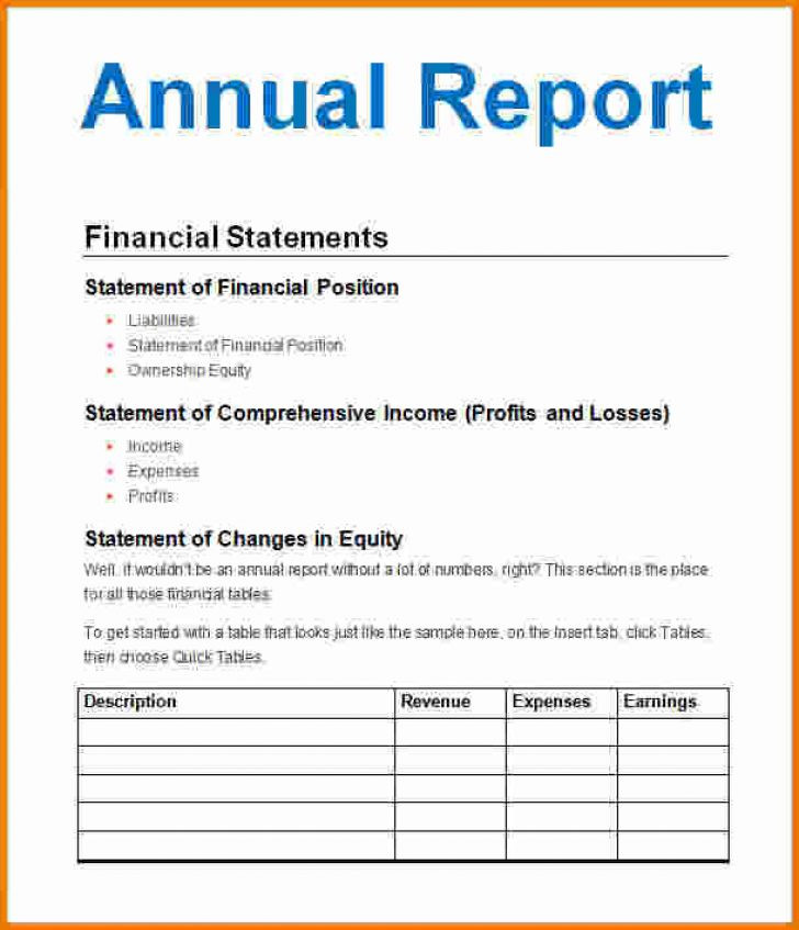 Annual Business Report Examples 11 PDF Word Apple Pages Examples