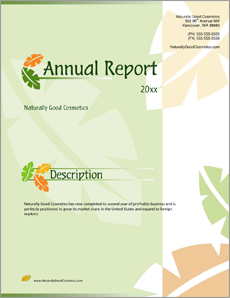annual business report sample