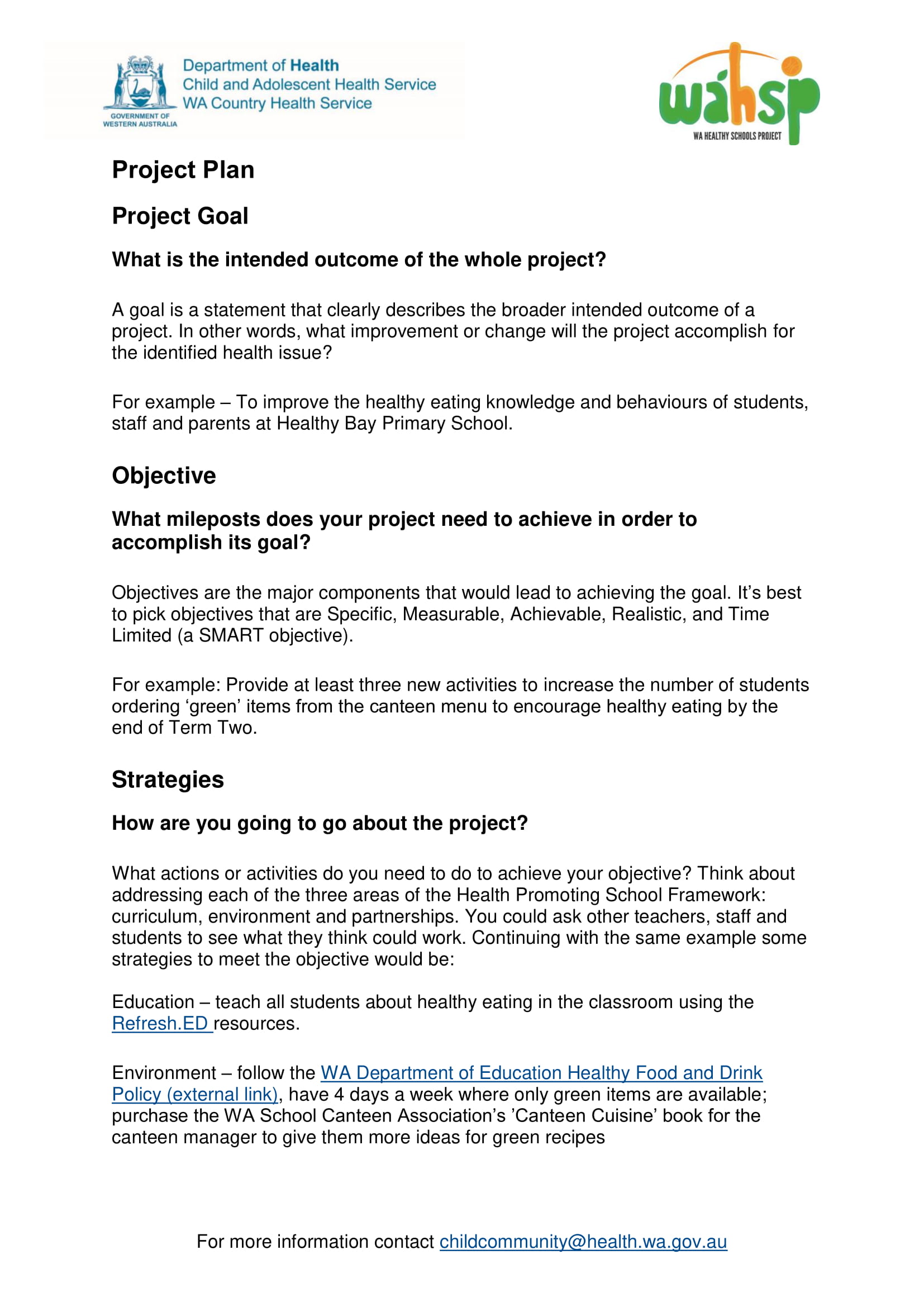 project-action-plan-examples-21-pdf-word-examples