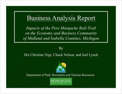 business analysis report example
