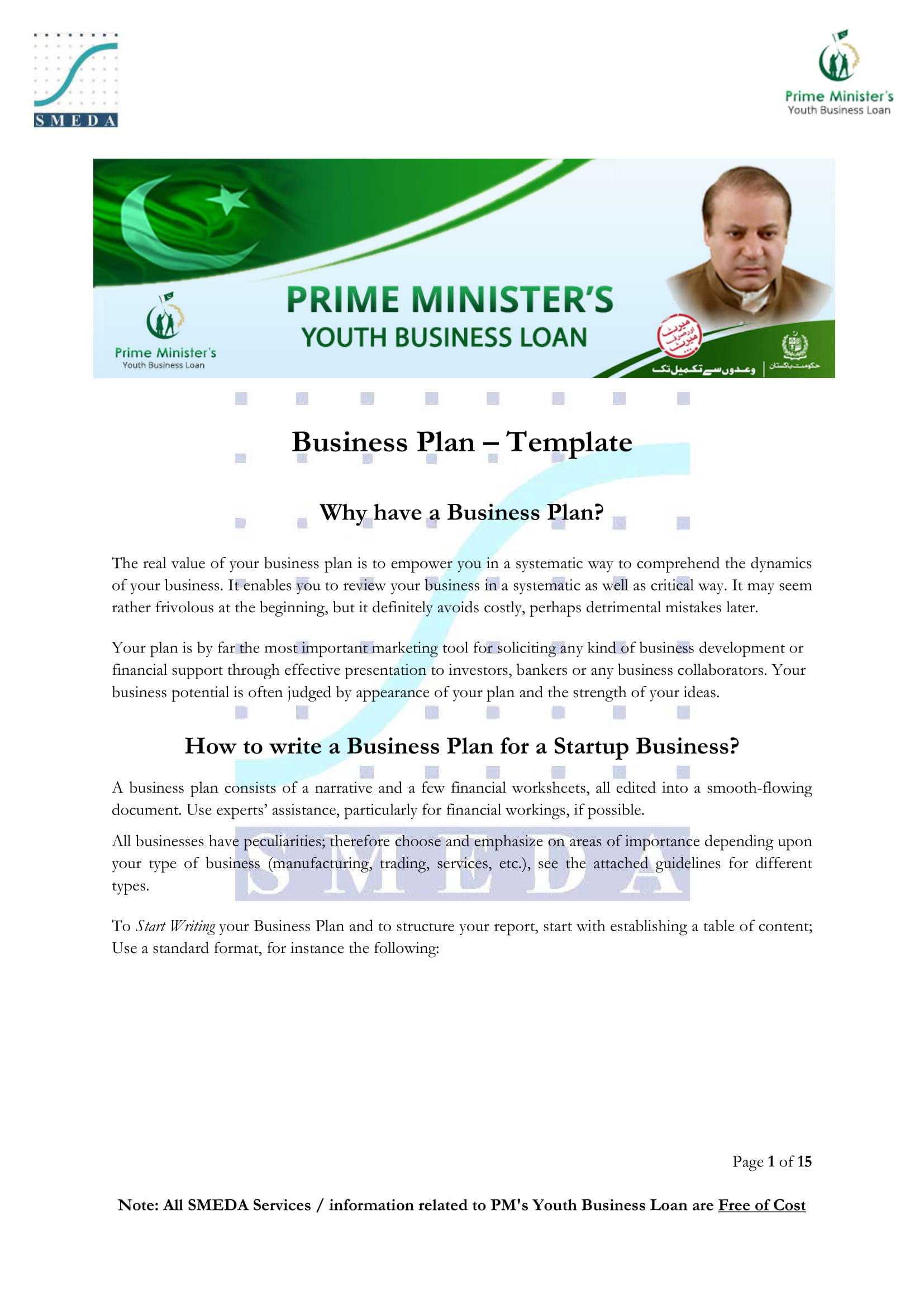 Business Plan Template With Profit and Loss Discussion Example 01