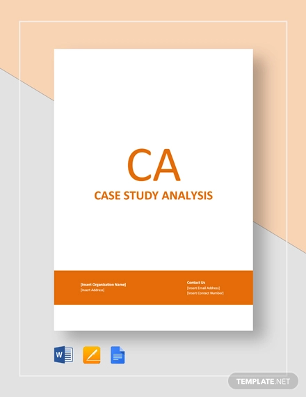 Case Study Analysis Example2