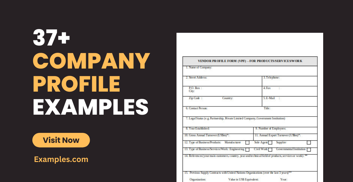 10 Creative Company Profile Examples to Inspire You [Templates]