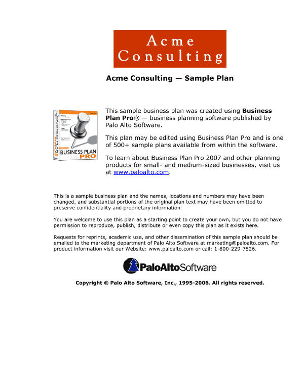 Consulting-Business-Plan-for-Social-Media-Example1