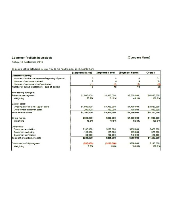customer profitability analysis document sample1