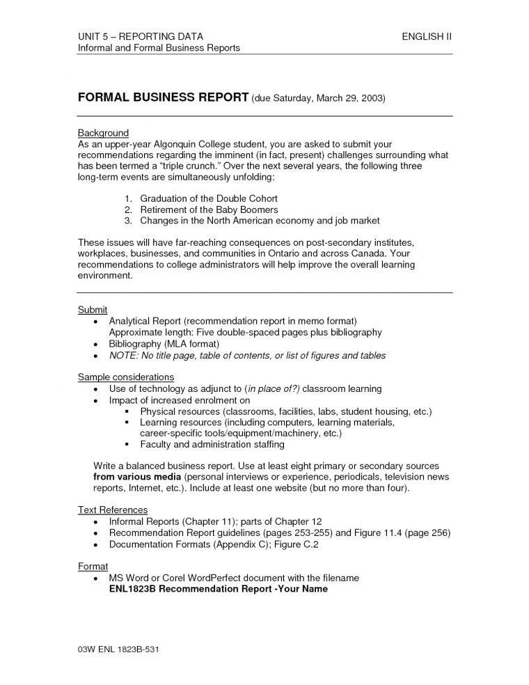 Formal Annual Business Report