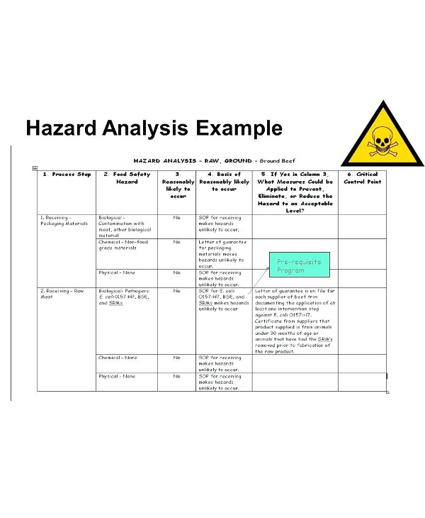 Haccp Flow Chart For Beef