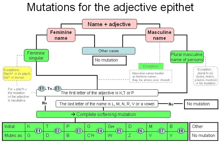 mutations for the adjective epithet
