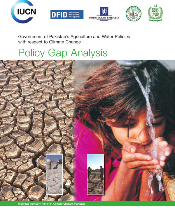Policy Gap Analysis Example