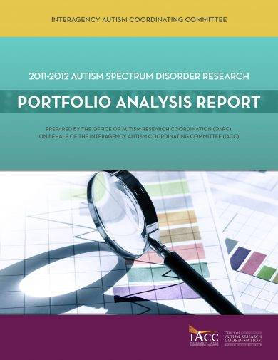 portfolio analysis report format example