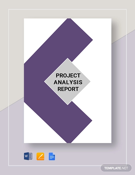 project analysis report xamples