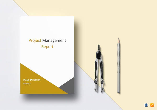 Project Management Report Template