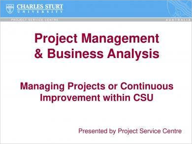 project management and business analysis report or presentation example