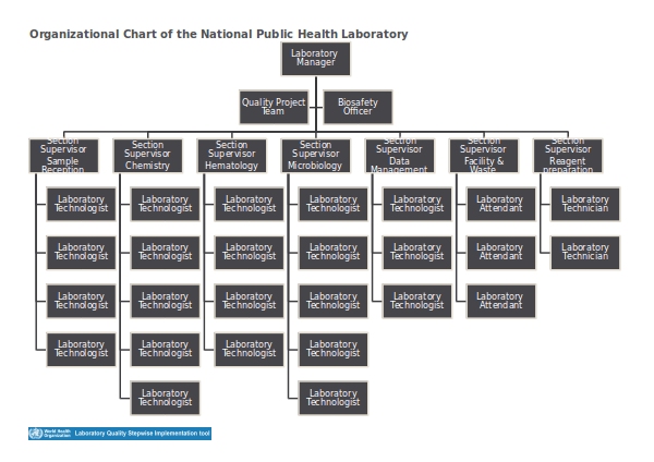 template organizational chart