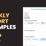 Weekly Report Examples