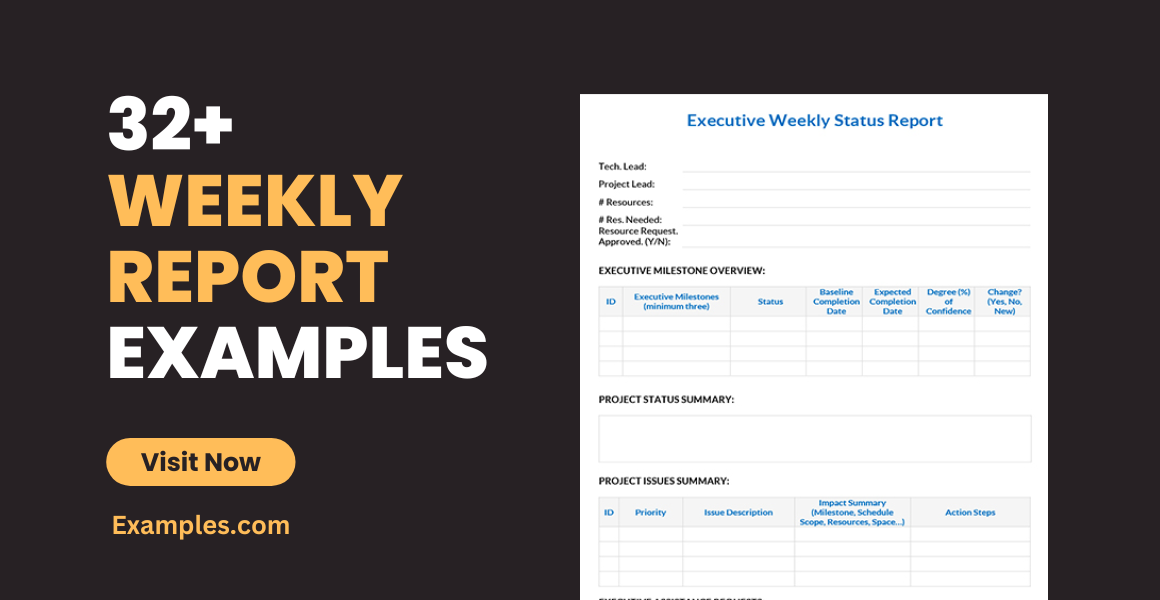 Weekly Report 32 Examples Word Pages PDF Tips