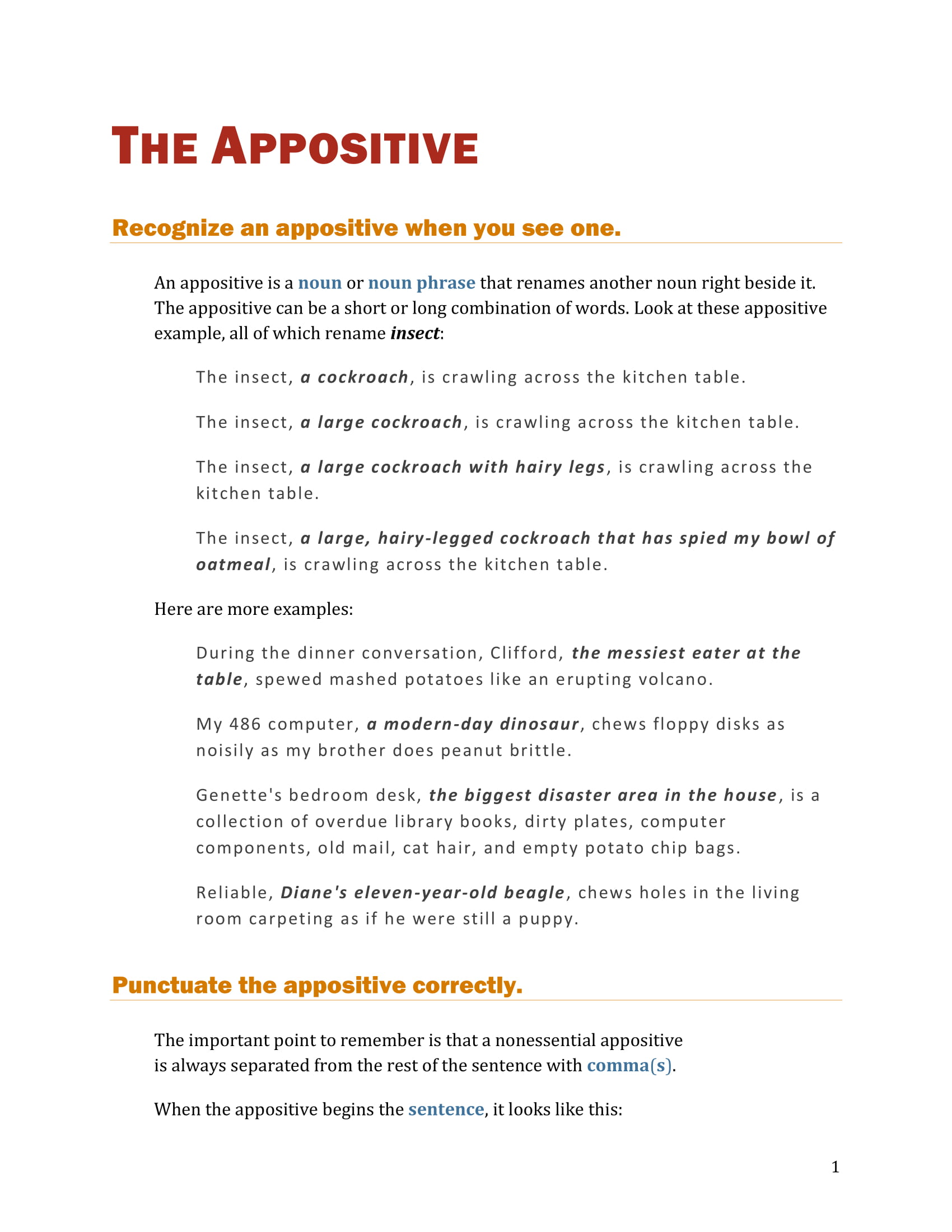 what is an appositive