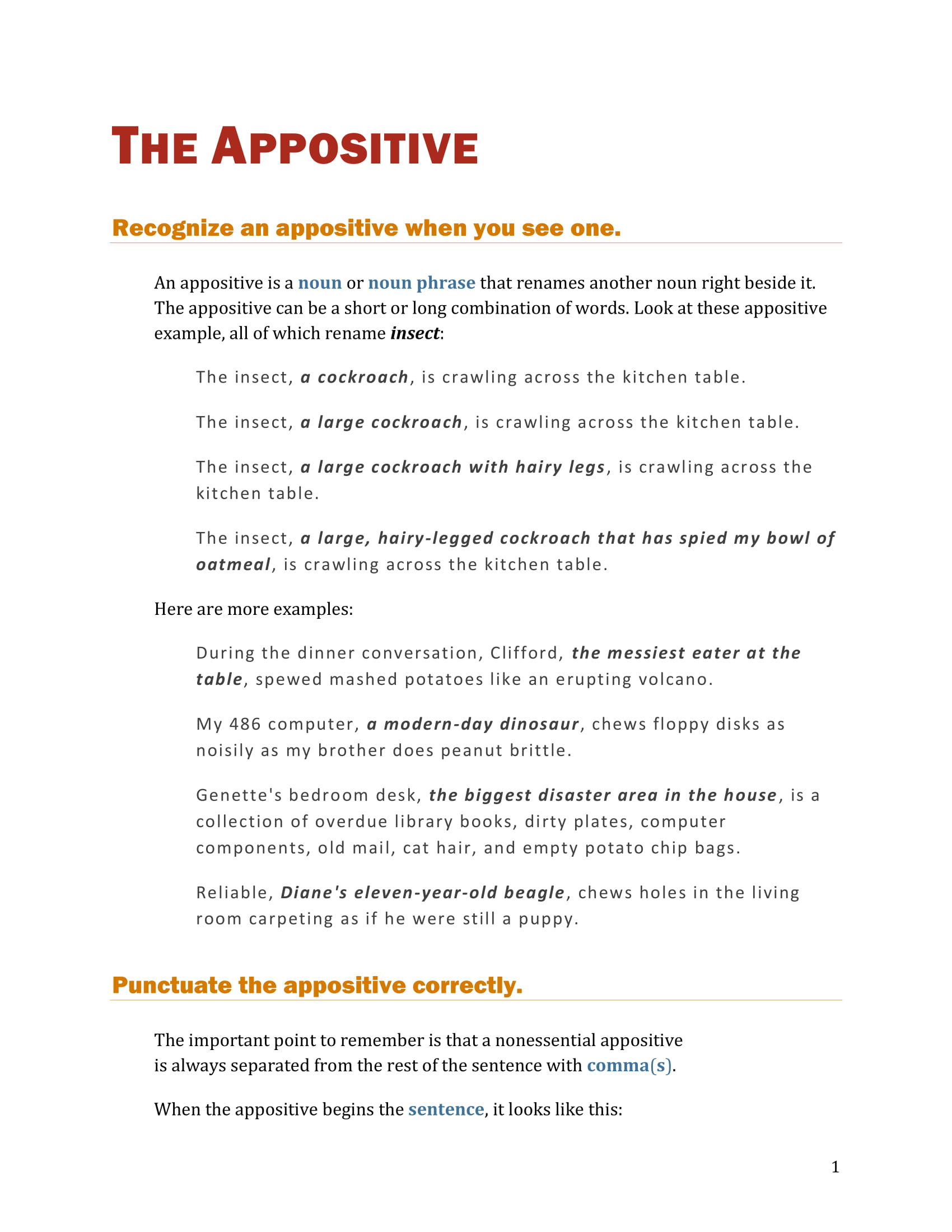Appositive Sentence 7 Examples Format Sample Examples