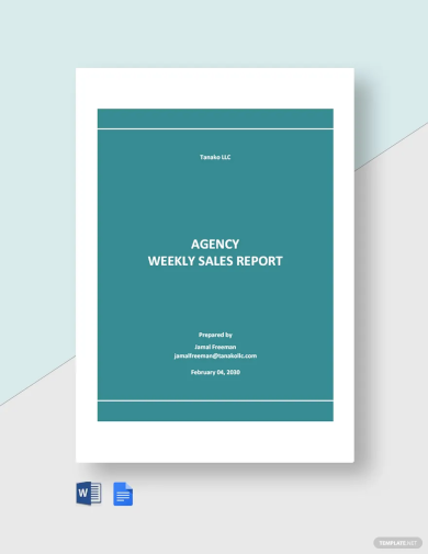 agency weekly sales report template