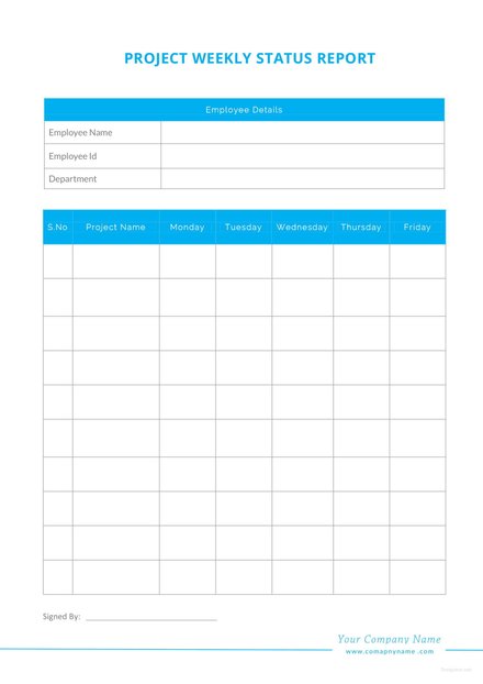 Blank Weekly Project Status Report Template