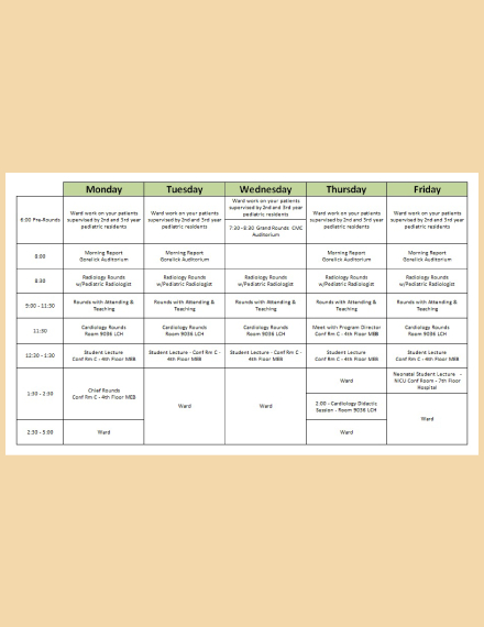 daily schedule pdf template medical
