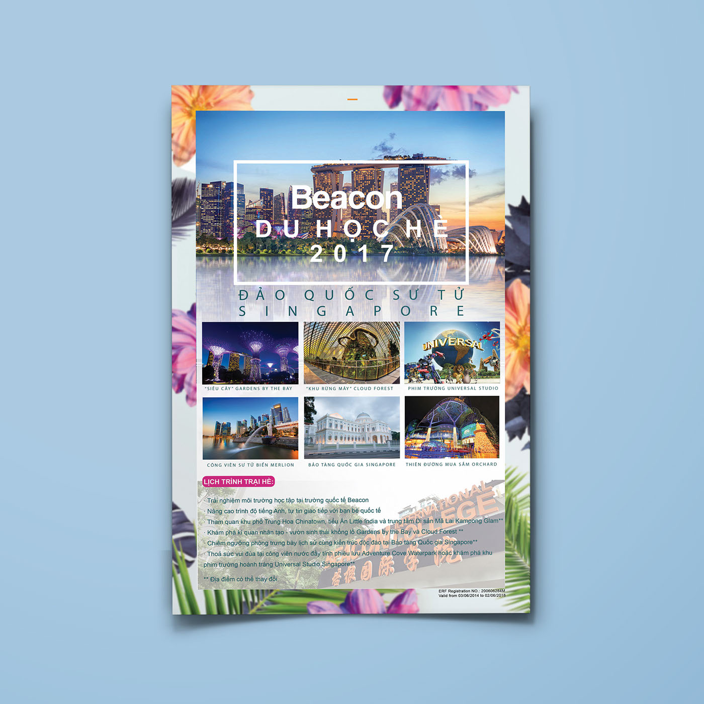 Educational Brochure and Flyer Example
