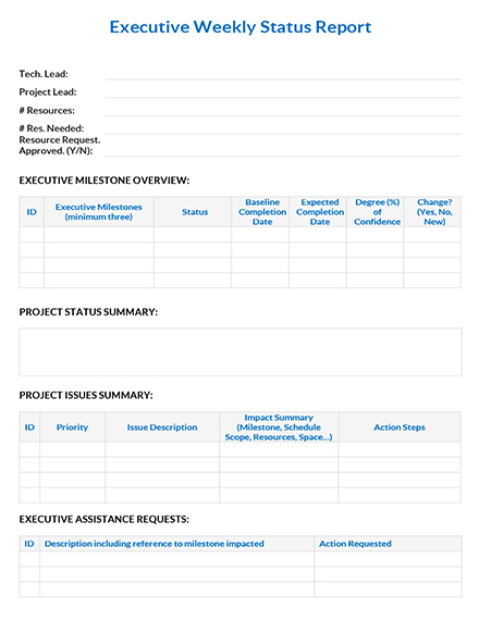 executive weekly status report template