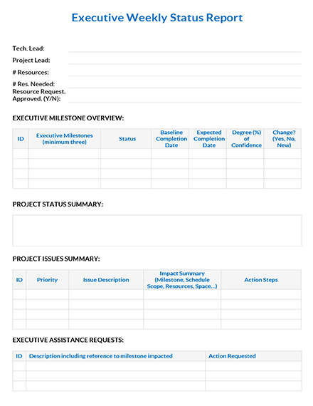 Executive Weekly Status Report Template