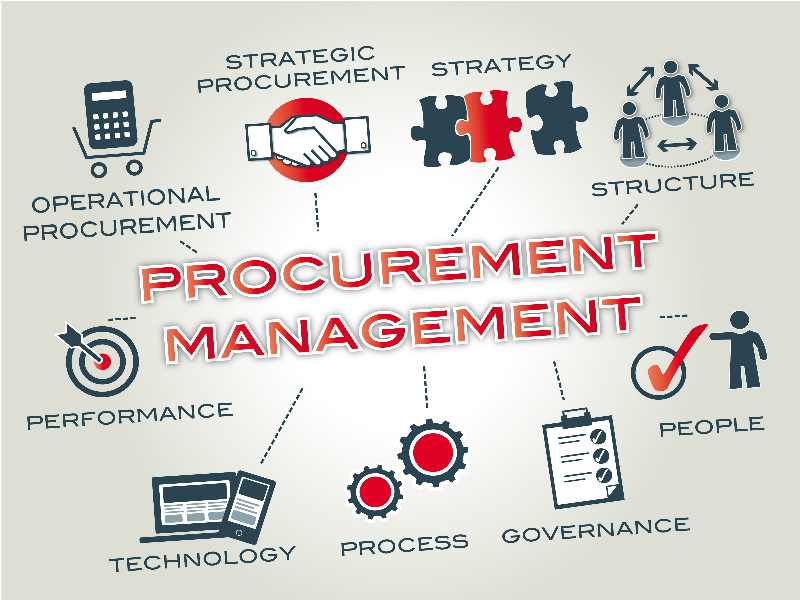 procurement business plan sample