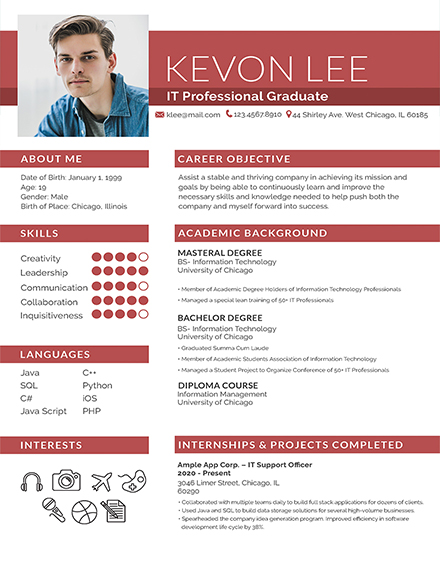 professional resume for freshers