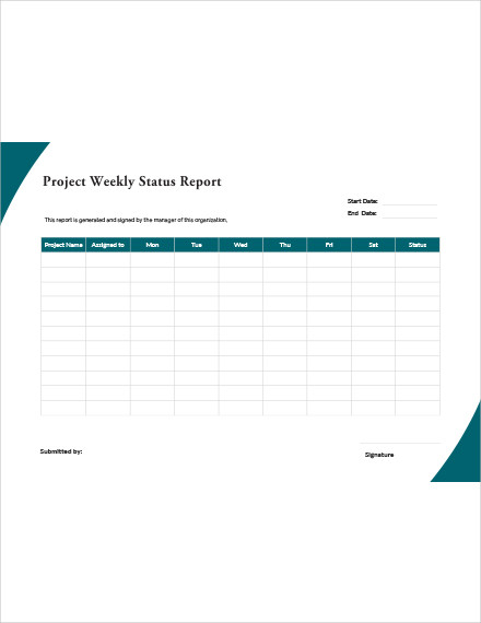 project weekly status report template1