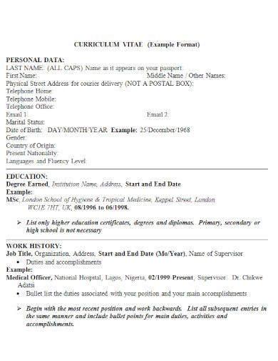 resume example format