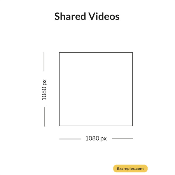 shared videos