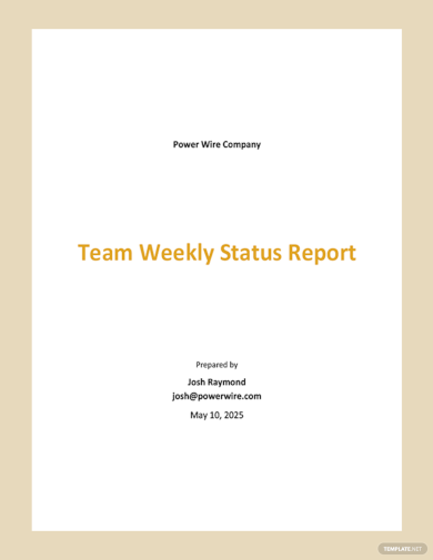 team weekly status report template