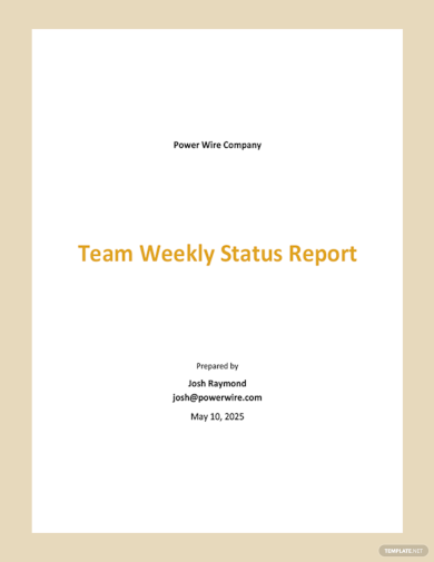 Team Weekly Status Report Template