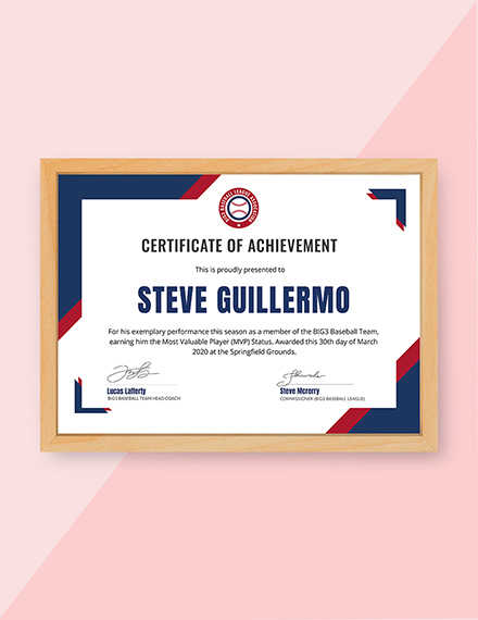 Basketball Participation Certificate