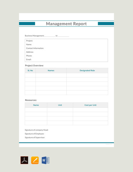 Management Report Example Template