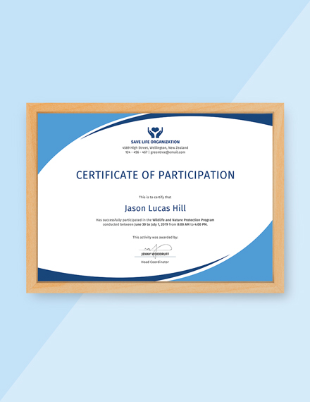 Program Participation Certificate