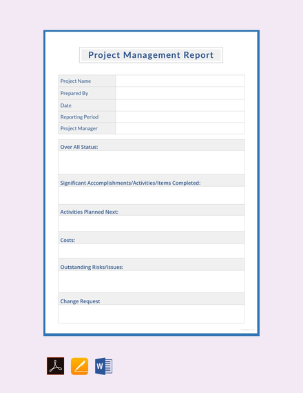 project management report