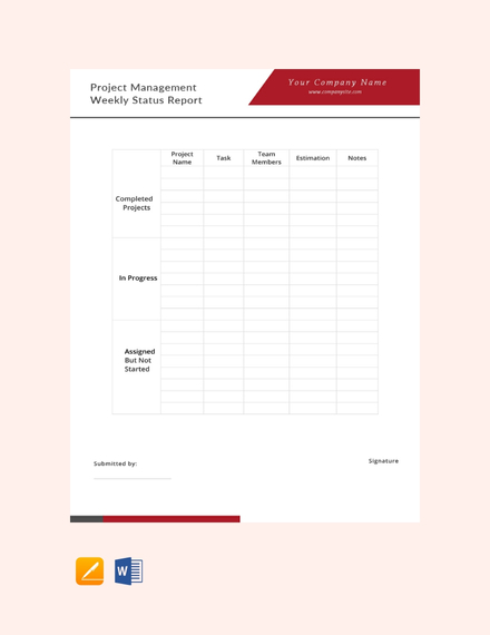 project management weekly status report template