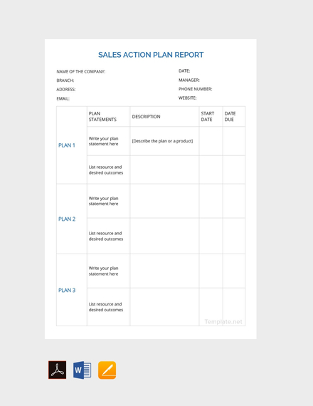 sales action plan report1