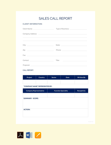 Sales Call Report