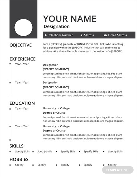 Resume Examples - 17+ Templates in Word | Examples