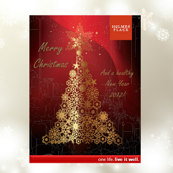 new year and christmas greeting card