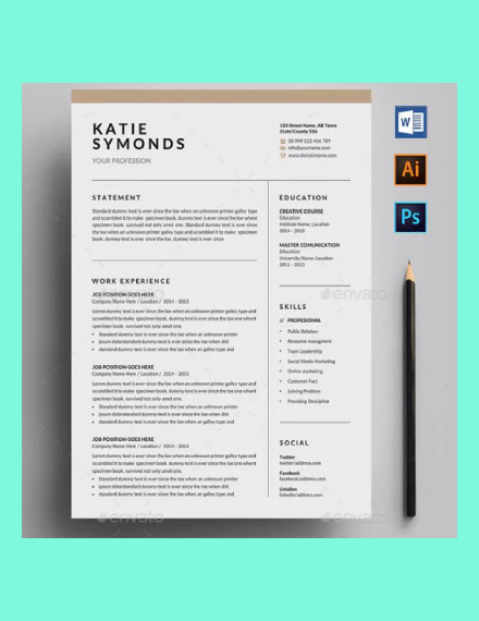 professional resume cv template