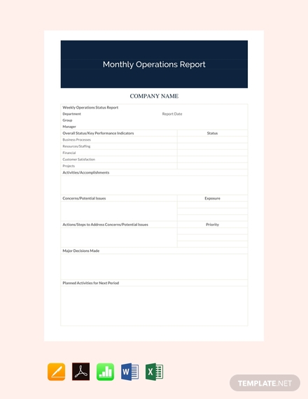 monthly operations report sample