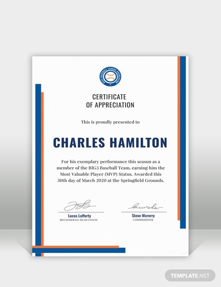 sports appreciation certificate