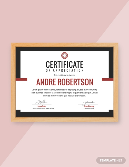 volleyball appreciation certificate