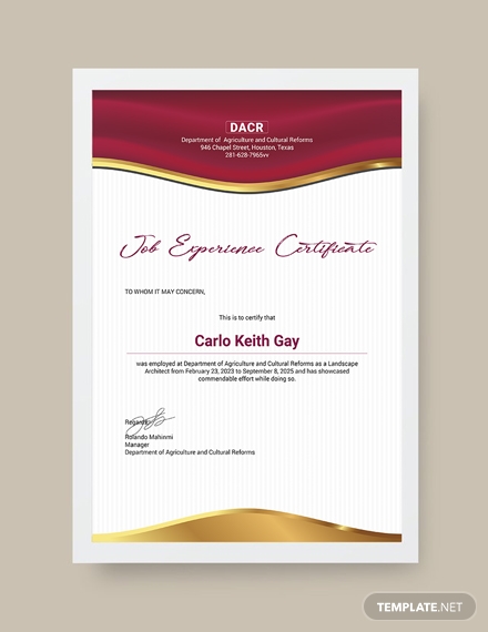 job experience certificate