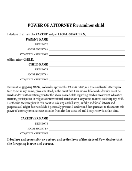 power of attorney for minor child letter